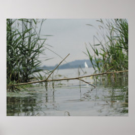 Póster Rama en agua poco profunda