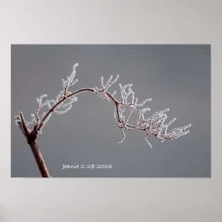 Póster Rama escarchada de invierno
