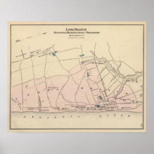 Póster Rama larga, NJ