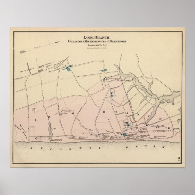 Póster Rama larga, NJ (Frente)