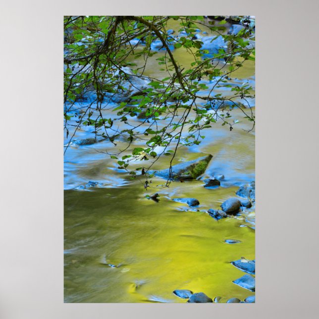 Póster Rama sur del río Wilson, Oregón (Frente)