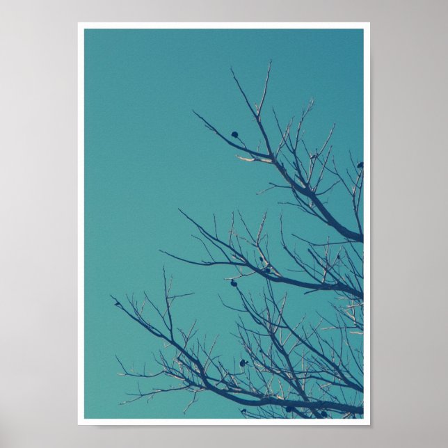 Póster Ramas (Frente)