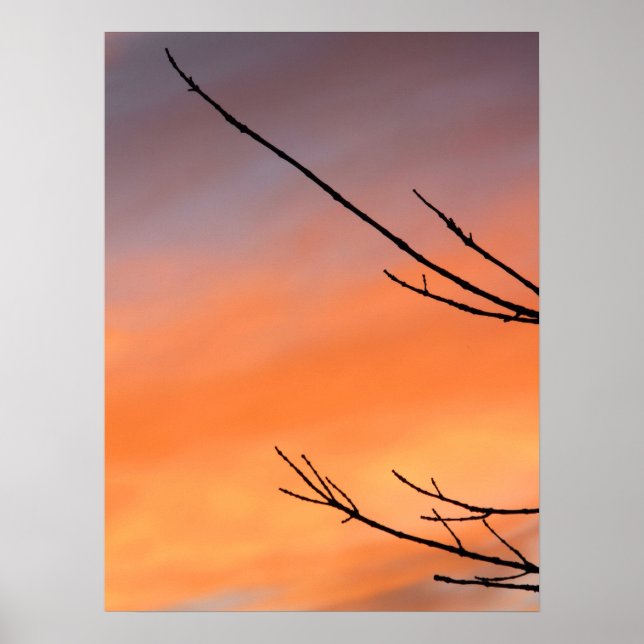 Póster Ramas contra la puesta de sol (Frente)