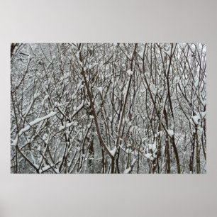 Póster Ramas Cubiertas de Nieve Invierno