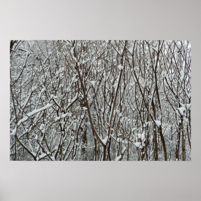 Póster Ramas Cubiertas de Nieve Invierno (Frente)