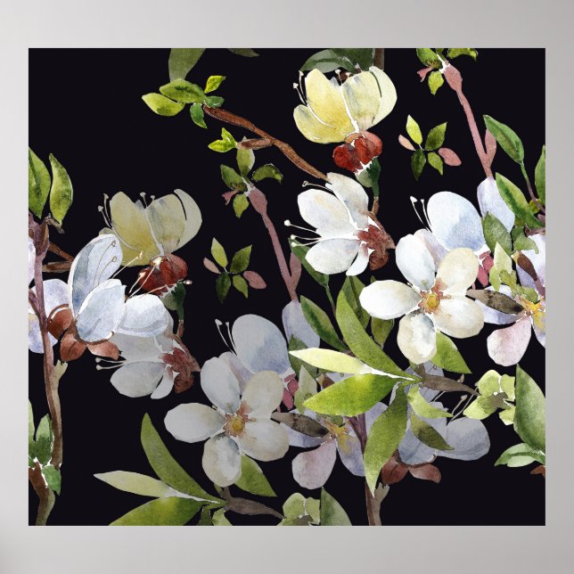 Póster Ramas de albaricoquero de primavera: sin mangas ac (Frente)