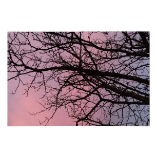 Póster Ramas de árbol al atardecer Fotografía Planetm13