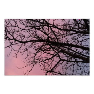 Póster Ramas de árbol al atardecer Fotografía Planetm13