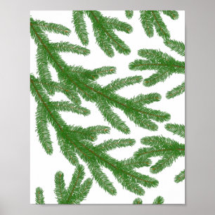 Póster Ramas de árbol de abeto verde