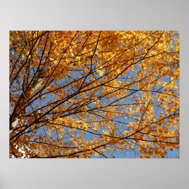 Póster Ramas de Hojas de Arce II Otoño Naranja (Frente)