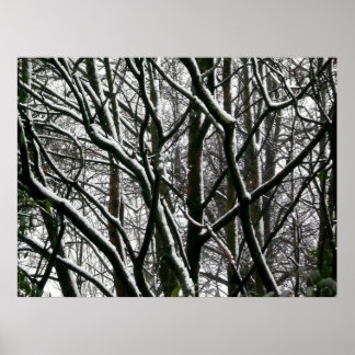 Póster Ramas de invierno
