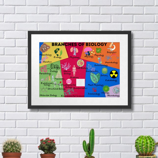 Póster Ramas de la biología (Subido por el creador)