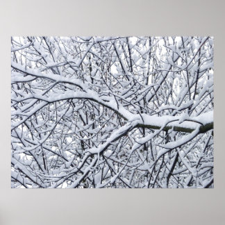 Póster Ramas de nieve