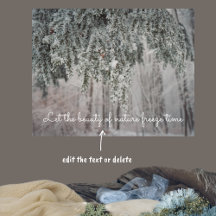 Ramas escarpadas y un bosque cubierto de nieve