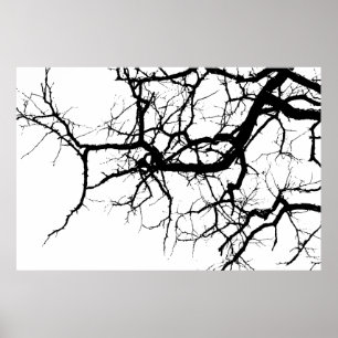 Póster Ramas oscuras del árbol