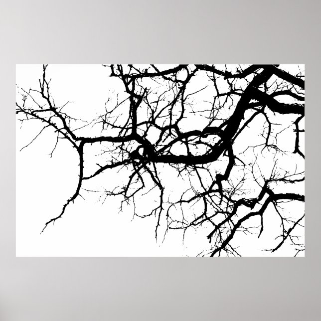 Póster Ramas oscuras del árbol (Frente)