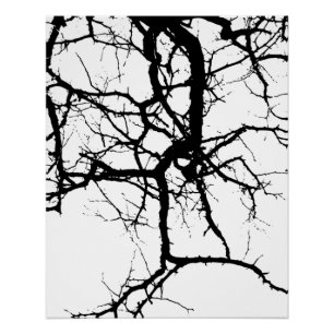 Póster Ramas oscuras del árbol