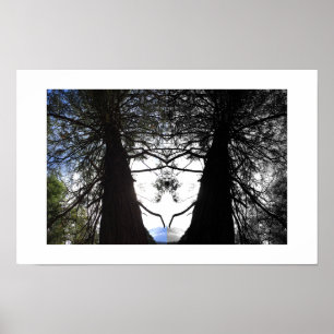 Póster Ramas retorcidas fotografía de reflejo de Yosemite