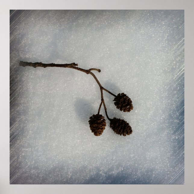 Póster ramera caída (Frente)