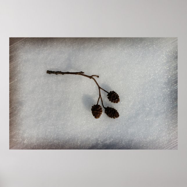 Póster ramera caída (Frente)