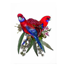 Ramillete de Rosella Carmesí Australiana y Flores