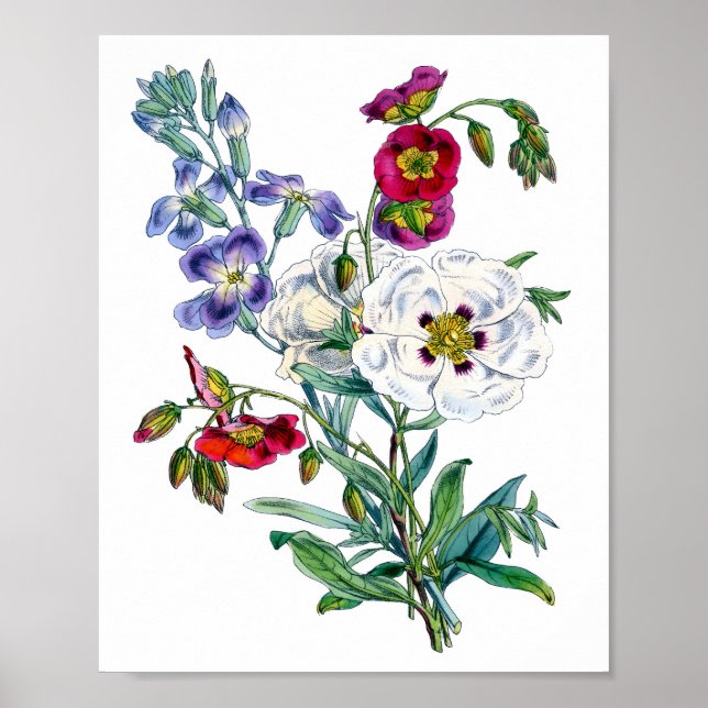 Póster Ramo de flores vintage acuarela (Frente)