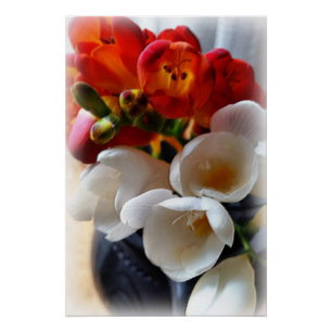 Póster ramo de freesias