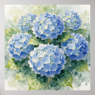 Póster Ramo de Hortensias Azules en Acuarela