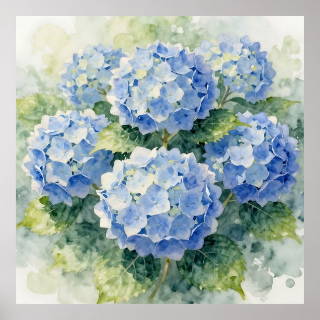 Póster Ramo de Hortensias Azules en Acuarela (Frente)