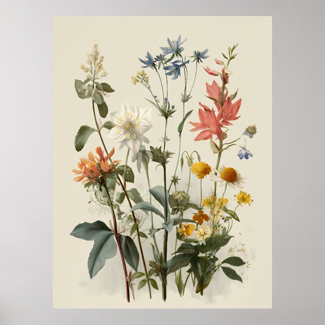 Póster Ramo de pradera de flores silvestres (Frente)