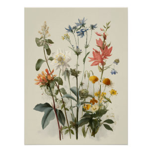 Póster Ramo de pradera de flores silvestres