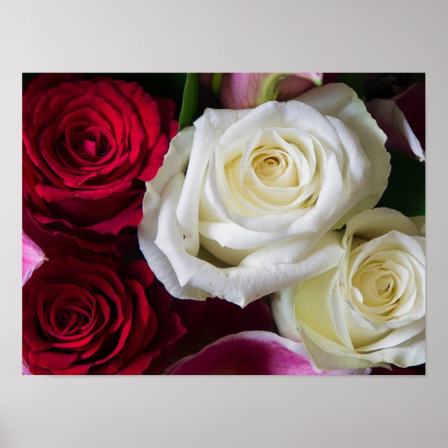 PÓSTER RAMO DE ROSAS (Frente)