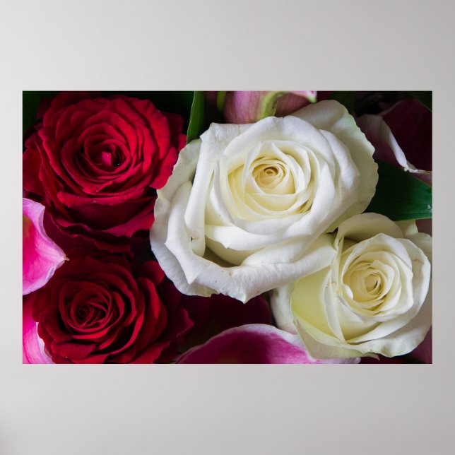 PÓSTER RAMO DE ROSAS (Frente)