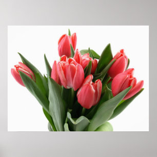 Póster Ramo del tulipán