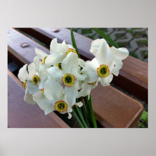 Póster ramo olvidado