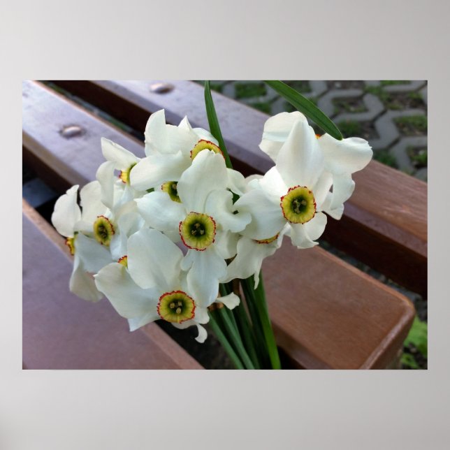 Póster ramo olvidado (Frente)