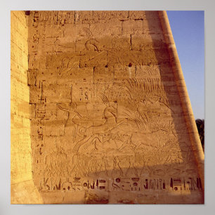 Póster Ramsés III cazando toros salvajes