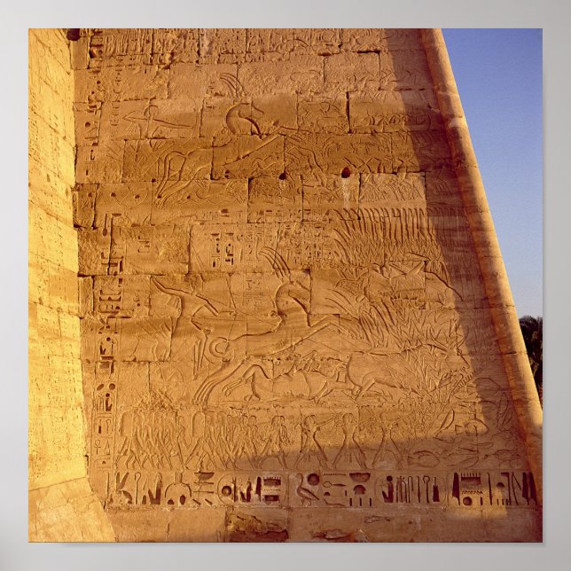 Póster Ramsés III cazando toros salvajes (Frente)