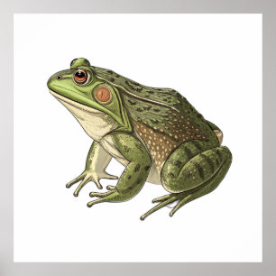 Póster Rana