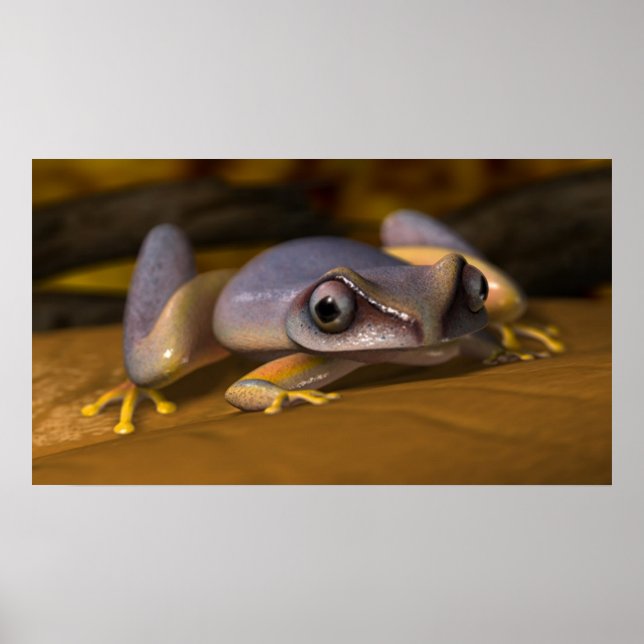 Póster Rana (Frente)
