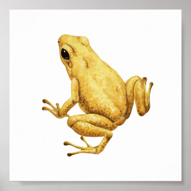 Póster Rana de dardo venenosa (Frente)