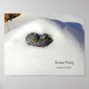 Póster Rana de nieve