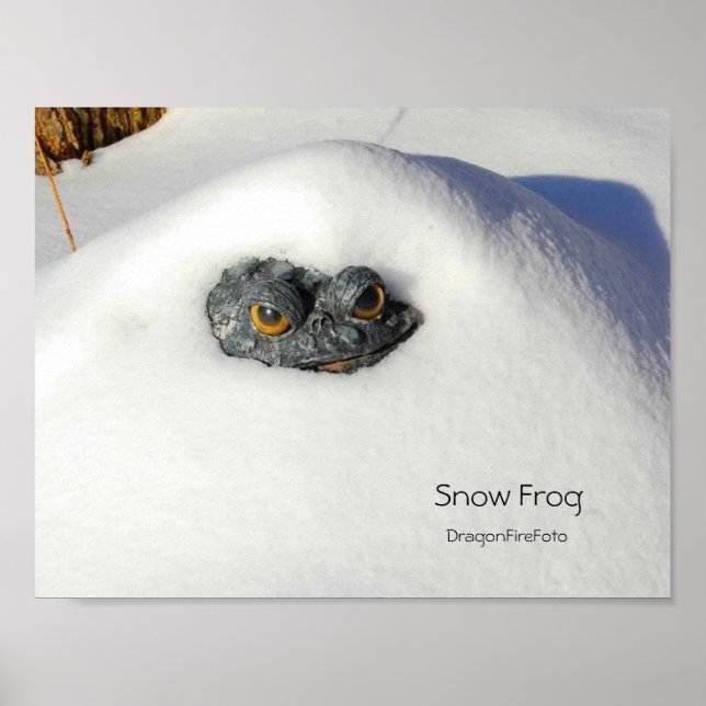 Póster Rana de nieve (Frente)