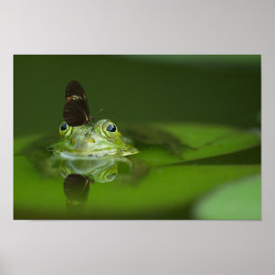 Póster Rana dulce con mariposa en la nariz