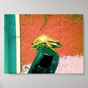 Póster Rana en un estuche de teléfono celular