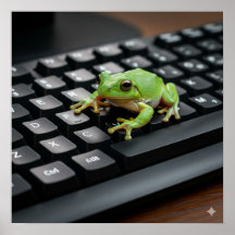 Rana en un teclado de computadora