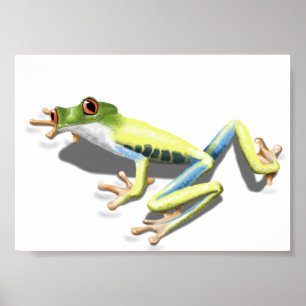 Póster Rana observada rojo