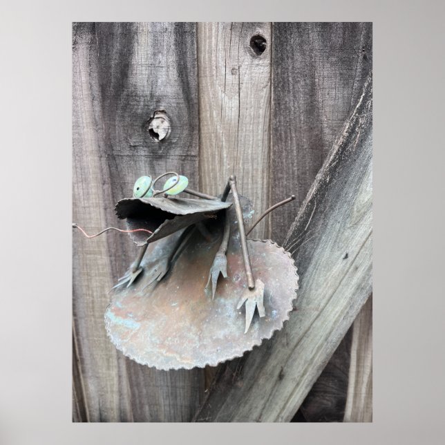 Póster Rana Quirky - Alambre de madera templada (Frente)
