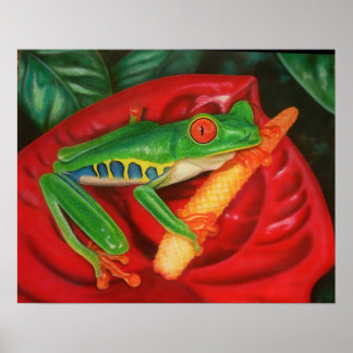 Póster Rana tropical