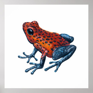 Póster Rana venenosa de fresa